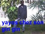 yayos